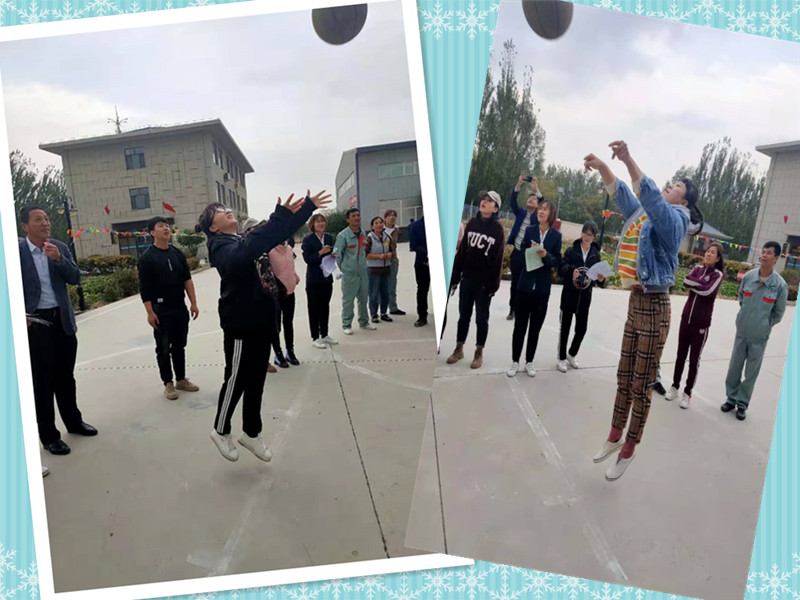 銀川伊百盛生物工程有限公司 銀川伊百盛生物工程有限公司