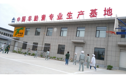 團(tuán)結(jié)合作，快樂迎五一