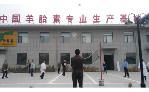 排球傳溫情，員工齊聚心