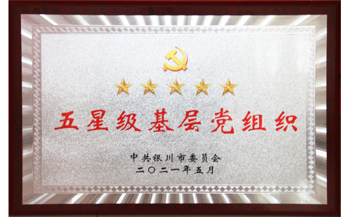 喜報(bào)！伊百盛黨支部榮獲“五星級(jí)基層黨組織”稱號(hào)