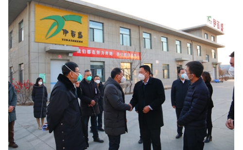 銀川市金鳳區(qū)委書記郝春明、區(qū)長張濤一行蒞臨銀川伊百盛參觀調(diào)研